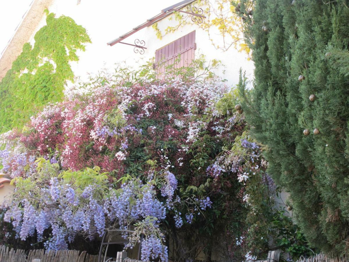 Casa-Tena-Sorède エクステリア 写真